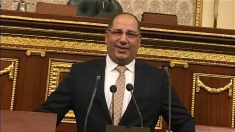برلمانى: ادعاءات إسرائيل بشأن تراجع مصر عن دعم دعوى جنوب أفريقيا كاذبة