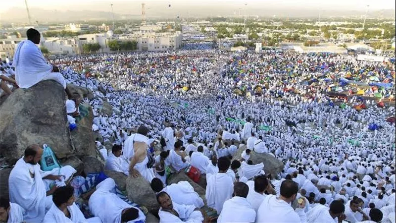التضامن الاجتماعي: انطلاق أول أفواج حجاج الجمعيات الأهلية إلى المدينة المنورة 8 مايو الجاري