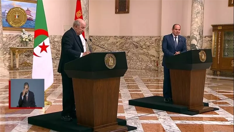 الرئيس الجزائري: ندعم الاستثمارات مع مصر في مجال الطاقة