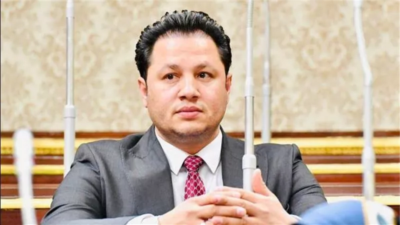 برلماني: مصر تحتضن ملايين اللاجئين.. وتعاملها معهم 