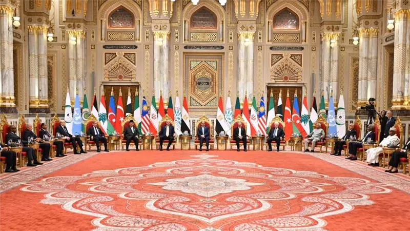 بث مباشر.. الرئيس السيسي يفتتح فعاليات قمة منظمة الدول الثمانى النامية