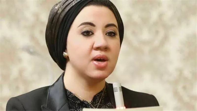 النائبة أميرة صابر تتقدم بطلب لاستخدام أعمدة إنارة تعمل بالطاقة الشمسية على الطرق الرئيسية