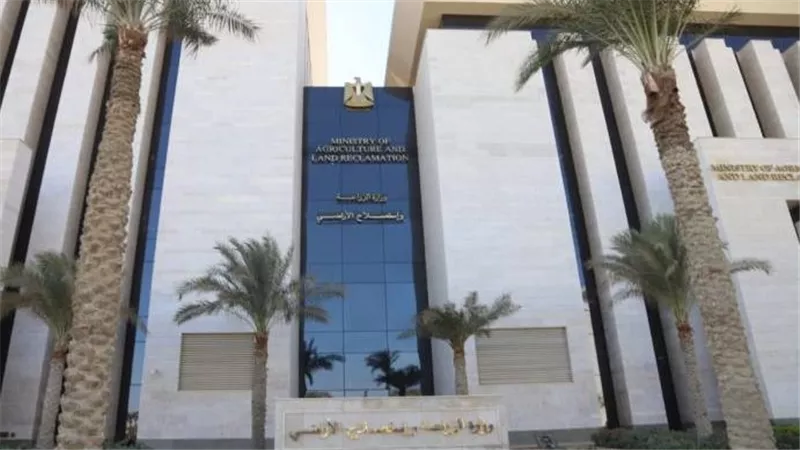 وزارة الزراعة: تحصين 2.1 مليون رأس ماشية ضد الجلد العقدى وجدرى الأغنام