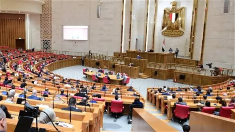 النائبة ريهام عبد النبى تتقدم بمقترح برغبة لحجب المواقع الإباحية فى مصر