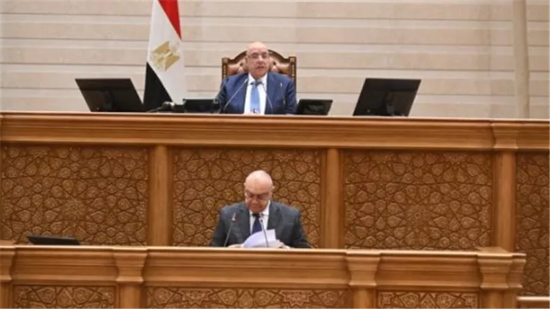 وحيد قرقر: توجيهات الرئيس بشأن مشروعات قوانين الأسرة خارطة طريق لإنهاء معاناة الأسر
