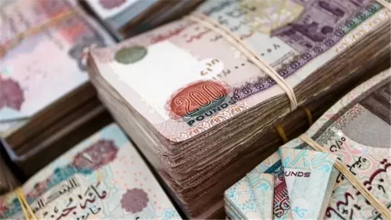 ضبط شبكة غسل أموال بـ 170 مليون جنيه من تجارة العملة غير المشروعة