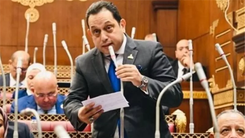 النائب محمد الجندي: جولة الرئيس السيسي الخليجية تؤكد قوة التحالف العربي ووحدة المصير مع الأشقاء
