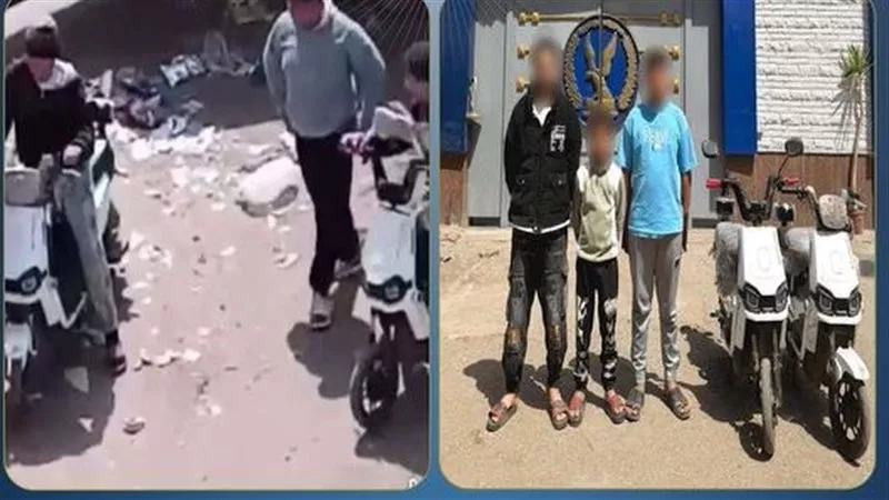 القبض على 3 طلاب لاتهامهم بمضايقة الفتيات أمام المدارس بالمنوفية