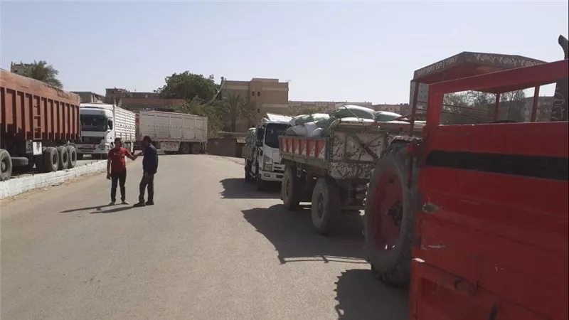 محافظ أسيوط: توريد 3560 طن قمح محلي للصوامع والشون حتى الآن 
