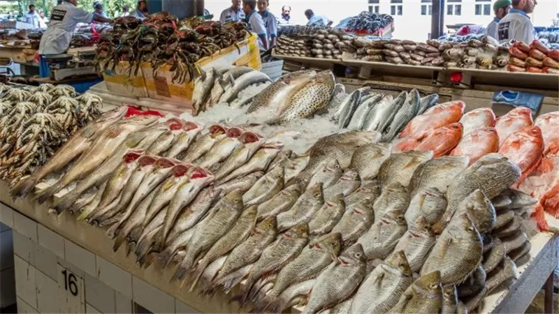 البوري الكبير يستقر عند 200 جنيه..تعرف على أسعار السمك اليوم في سوق العبور