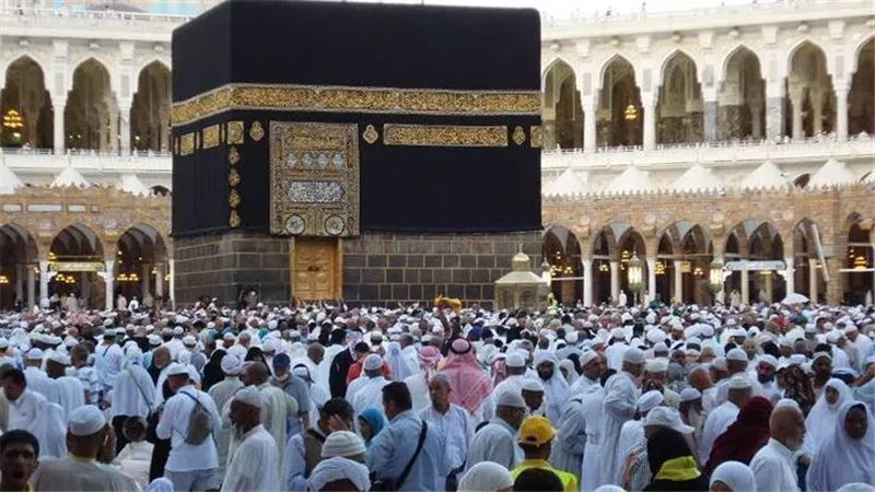 الصحة: تقديم 22 ألفا و738 خدمة طبية عبر عيادات بعثة الحج المصرية في الأراضي المقدسة
