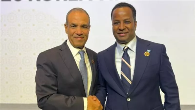 وزير الخارجية يؤكد لنظيره الصومالي ضرورة الإسراع بالإفراج عن البحارة المصريين المختطفين وضمان سلامتهم