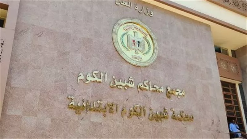 اليوم.. أولى جلسات محاكمة المتهم بقتل جدته طعنًا بسبب خلافات أسرية في المنوفية
