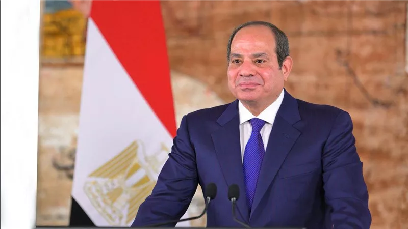 الرئيس السيسى: الدولة تستغل كل الفرص المتاحة لتحقيق التنمية والتطوير