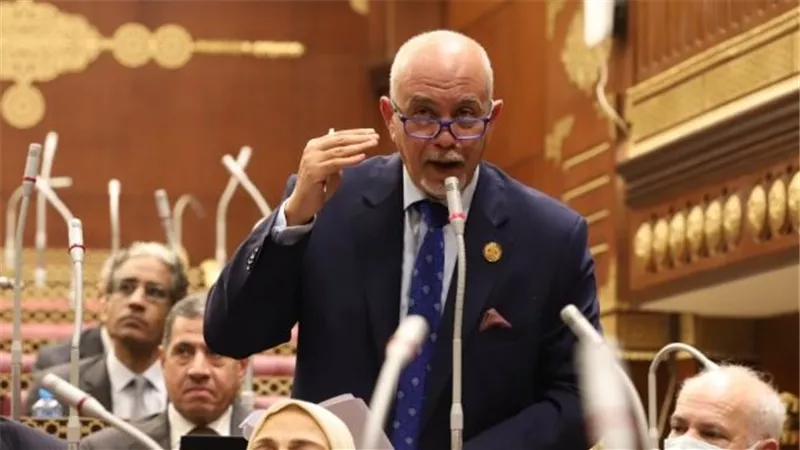 حازم الجندى: إنشاء صندوقين بجهاز مستقبل مصر لتحقيق العدالة الاجتماعية